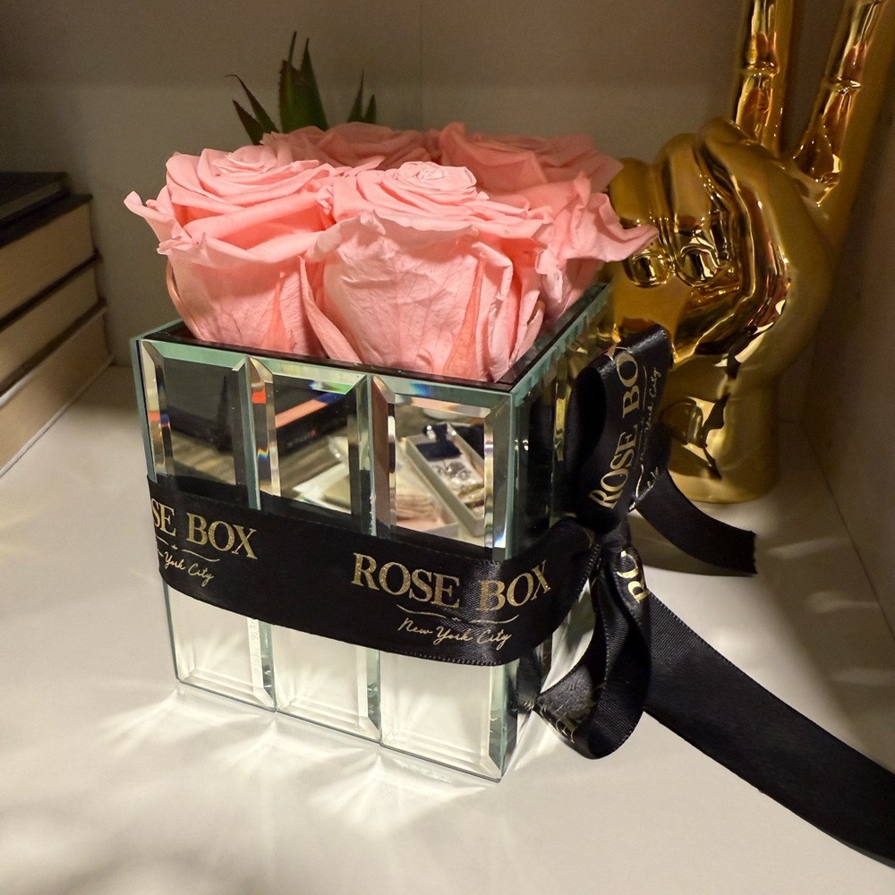 Rose Box Light Pink Roses Mirror Modern Mirror - Picture 2 of 4
